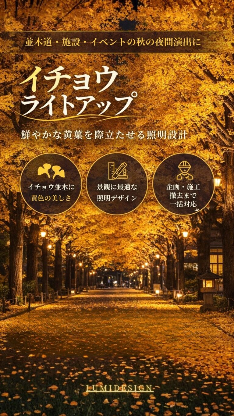 イチョウ並木のライトアップ演出 夜の並木道を照らした秋の景観ファーストビュー