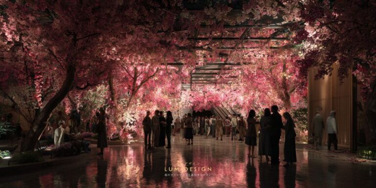 夜桜ライトアップを見て感動する女性の様子 樹木ライトアップの魅力と体験イメージ