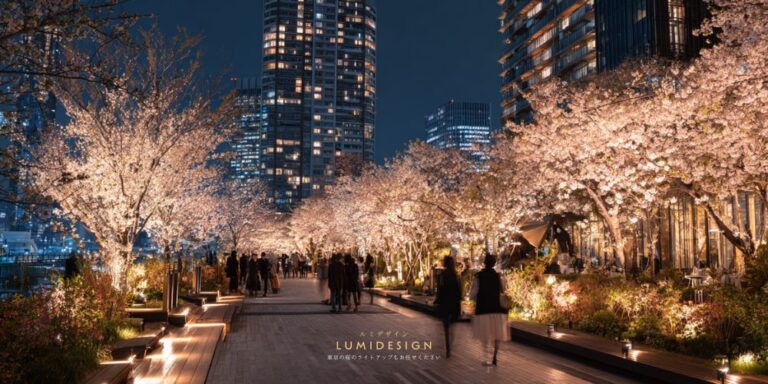 東京の桜ライトアップ施工イメージ 夜桜と都市夜景が融合した集客型イルミネーション演出