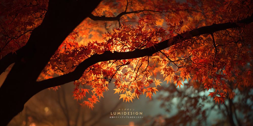 紅葉ライトアップされたモミジの葉のクローズアップ 逆光で色のグラデーションが際立つ夜景