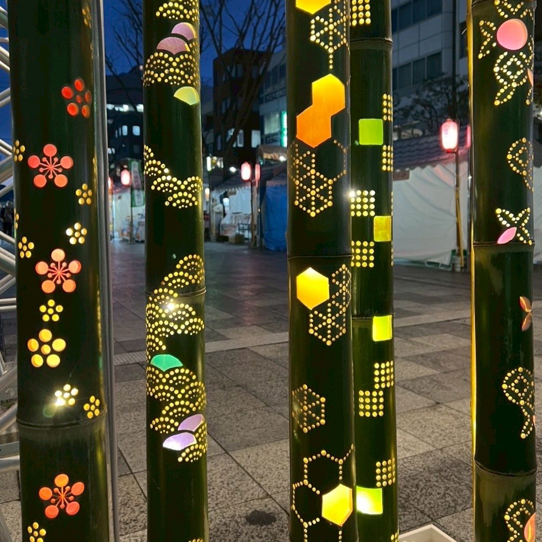 花や幾何学模様が光るカラフルな縦長竹灯籠の展示