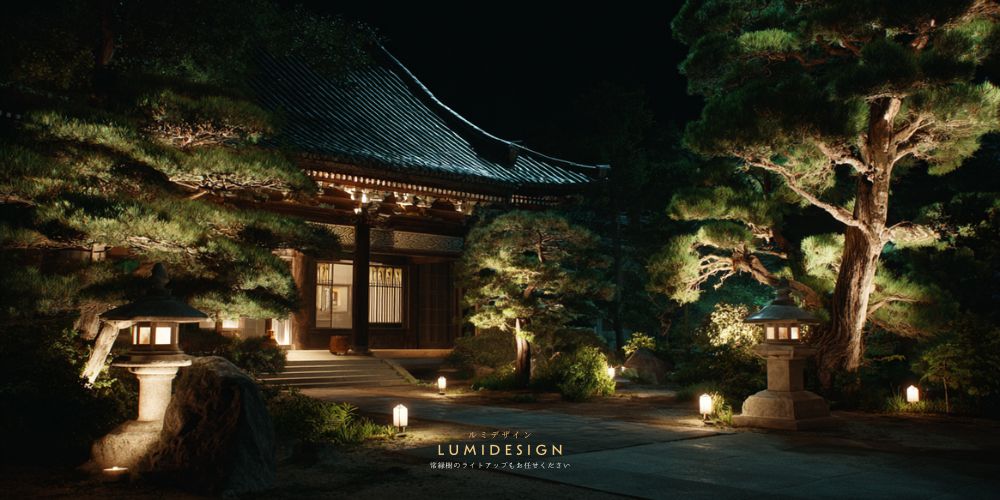 常緑樹ライトアップの寺社庭園イメージ 和建築と樹木を照らした夜景