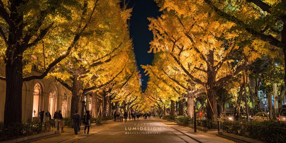 イチョウ並木をライトアップした夜の街並みの様子 秋の樹木ライトアップと人の流れのイメージ