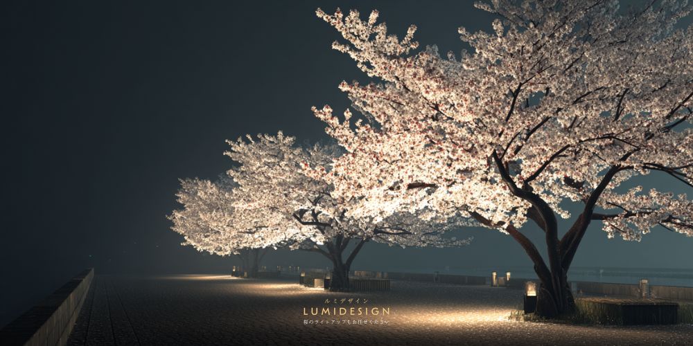 川沿いの桜ライトアップを見ている女性の様子 夜の観光イメージ
