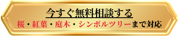 樹木ライトアップの今すぐ無料相談ボタン 桜・紅葉・庭木・シンボルツリー対応