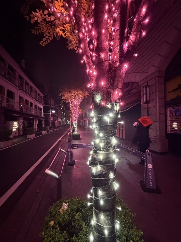 イルミネーションの夜間点灯と仕上がりを確認する現場