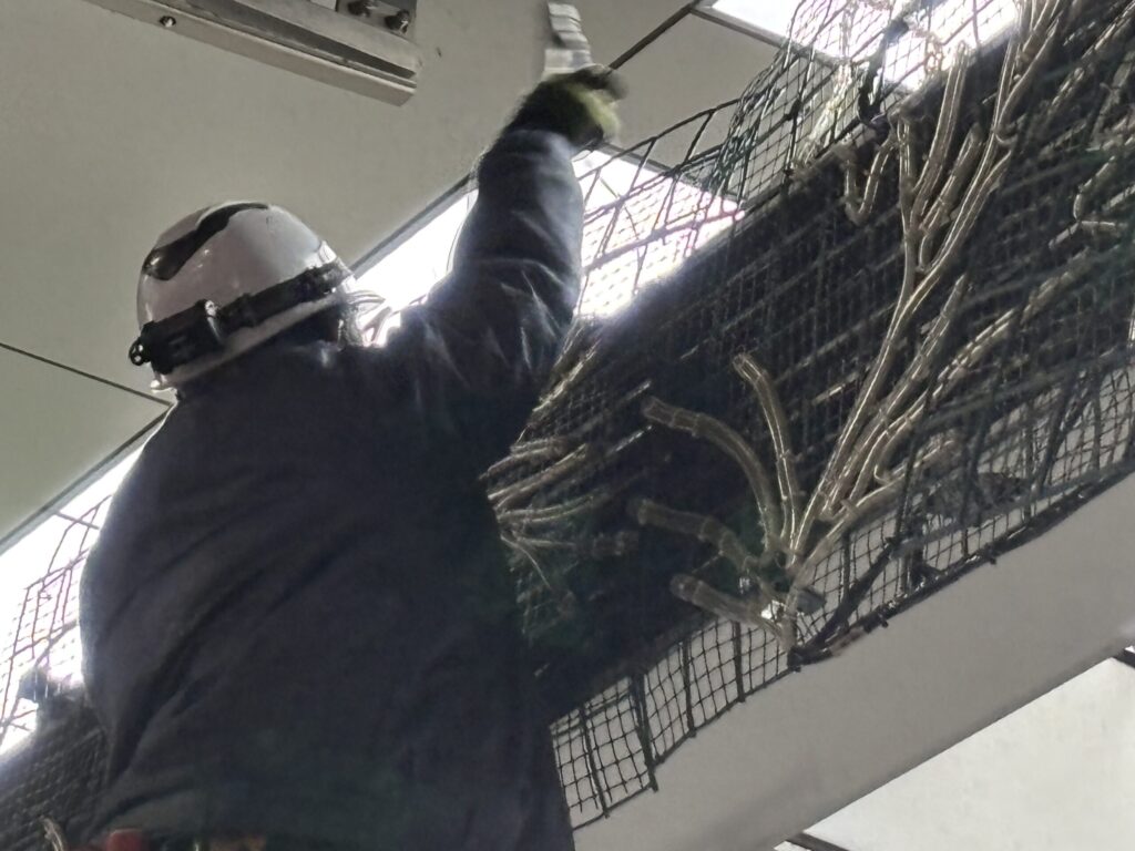 イルミネーション撤去現場