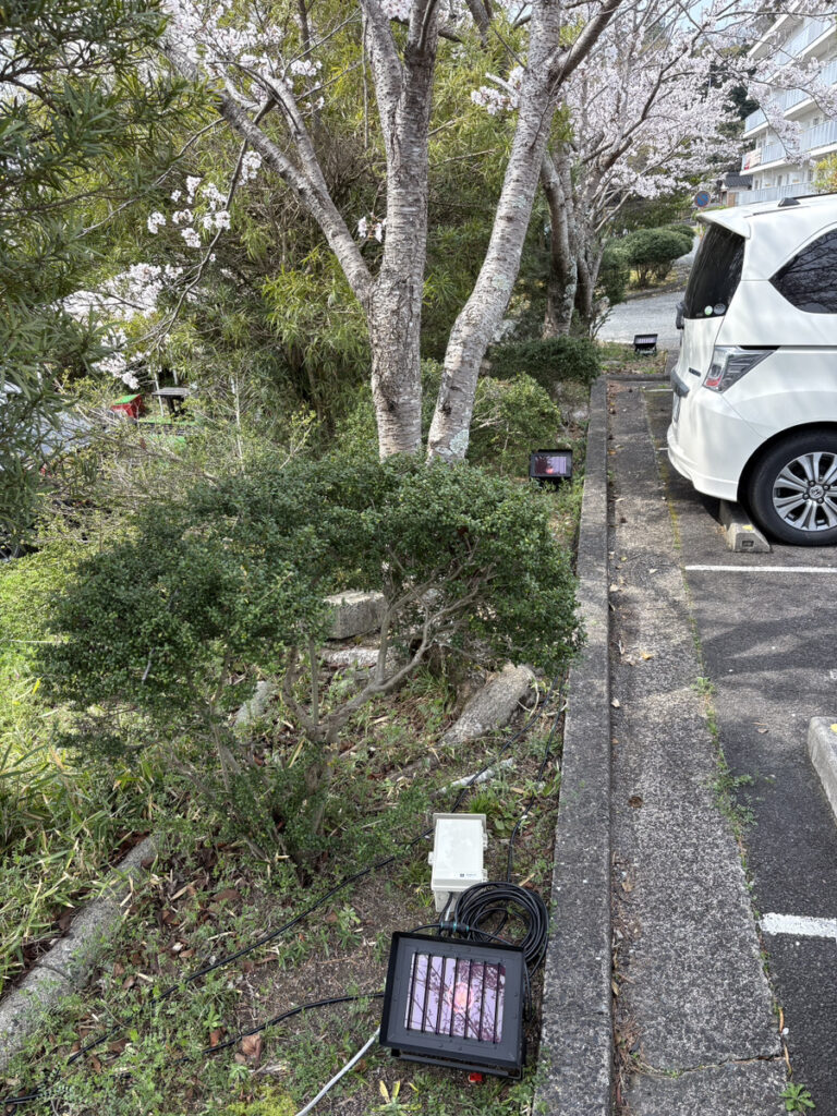 イルミネーションの現地調査と営業を行う現場