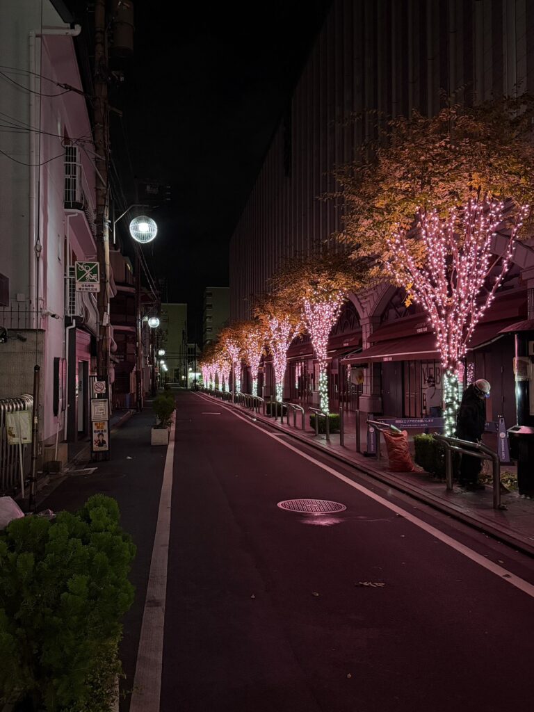 イルミネーションの夜間点灯と仕上がりを確認する現場