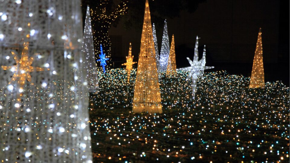 ハイクオリティな仕上がり