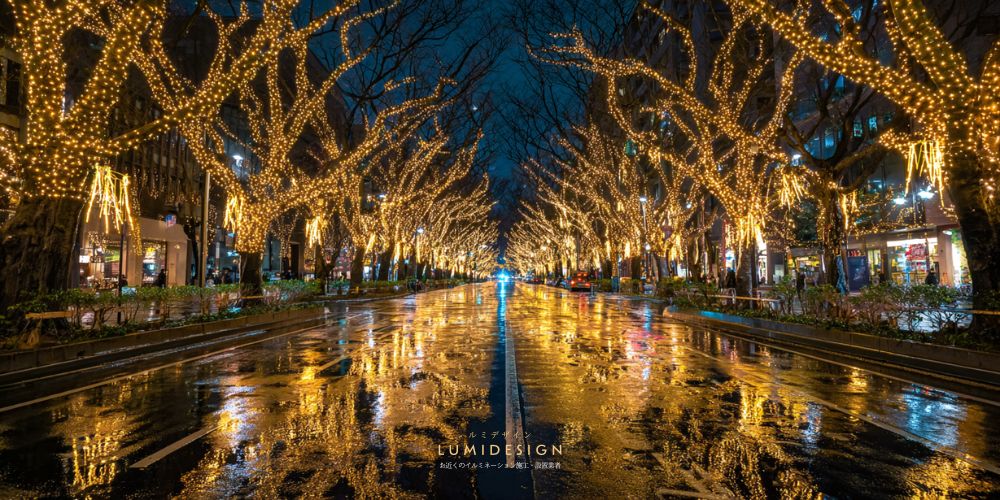 仙台市イルミネーション施工設置業者_街路樹通り集客